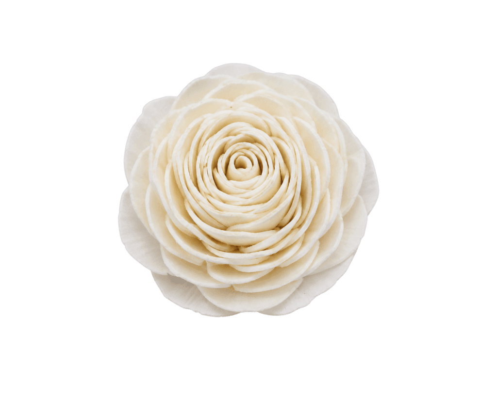 Sola Beauty Rose sola blooms | TBMA Crafts