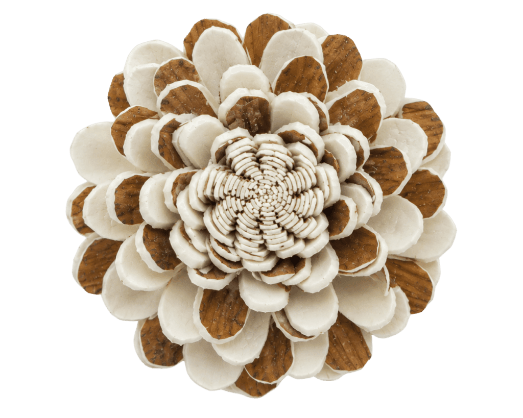 rustic bark sola flowers | TBMA Crafts